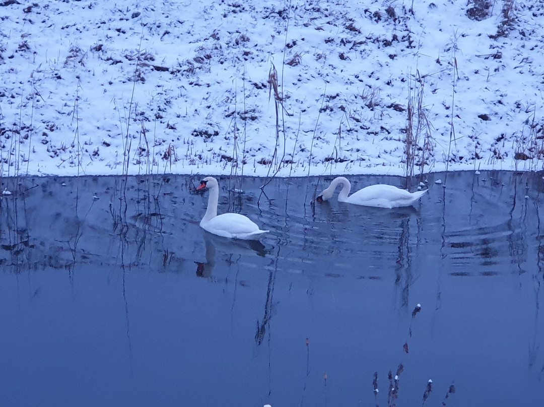 Kopacki Rit Nature Park-Bilje必去景点