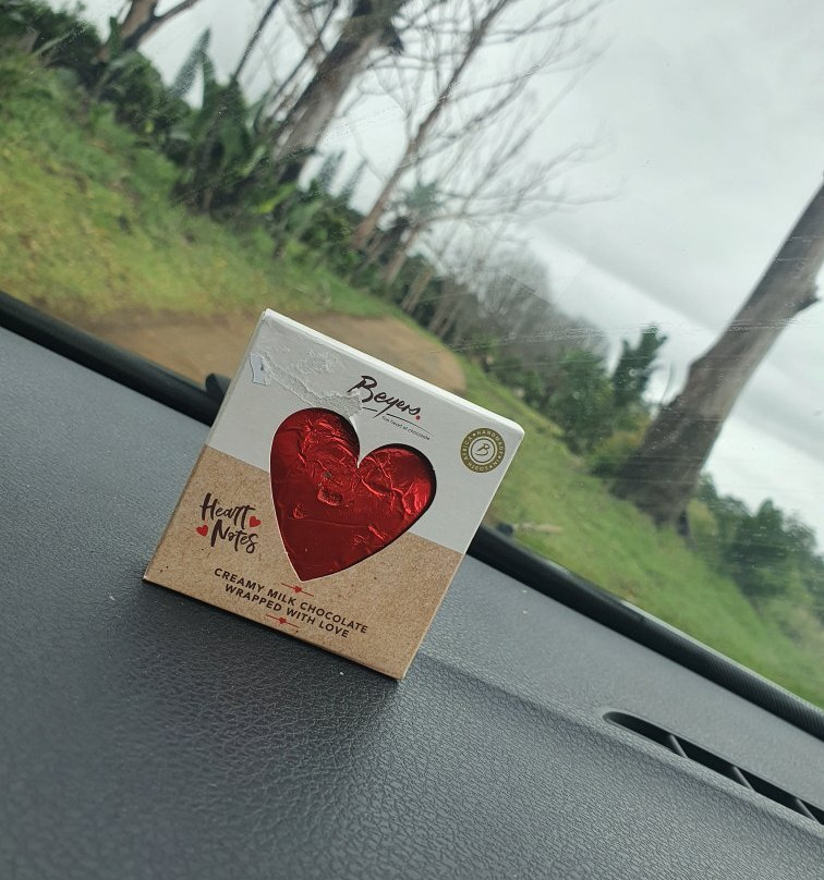 Beaver Creek Coffee Farm-Port Edward必去景点