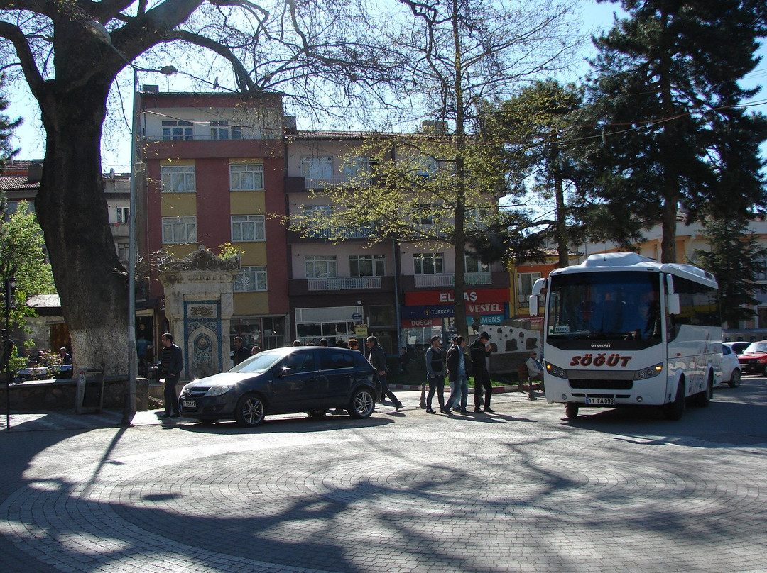 Söğüt Kaymakam Çeşmesi景点图片