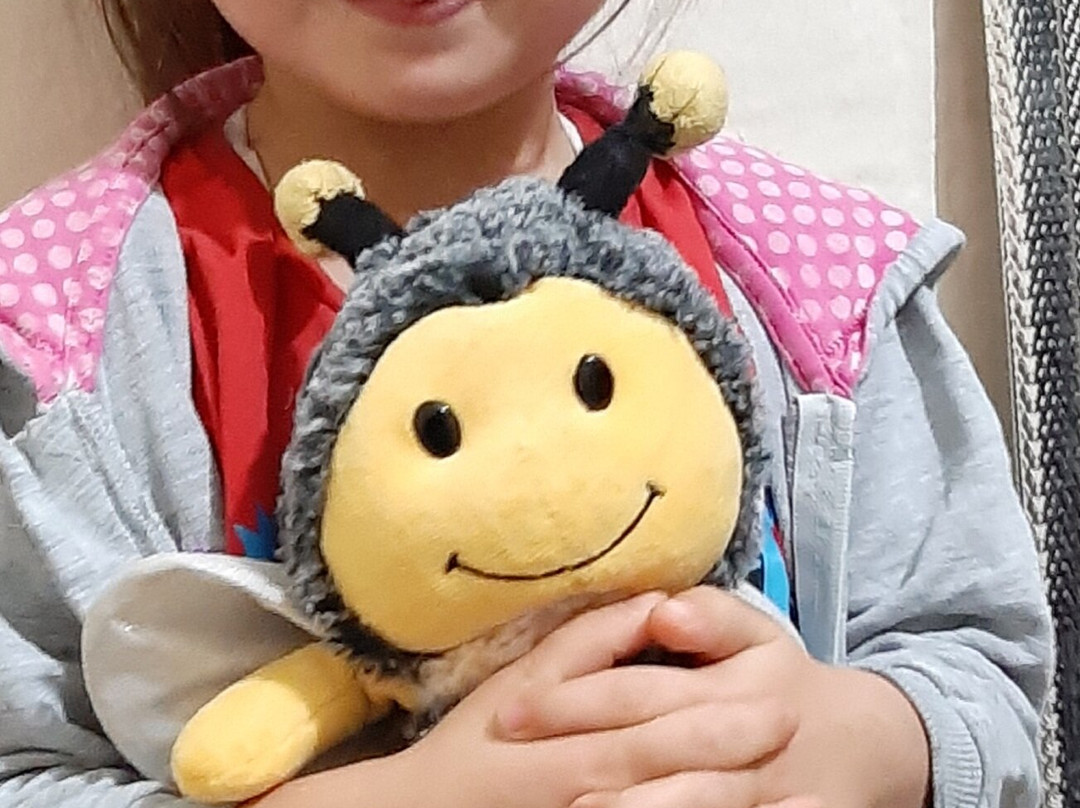 royal özçelik otel主图