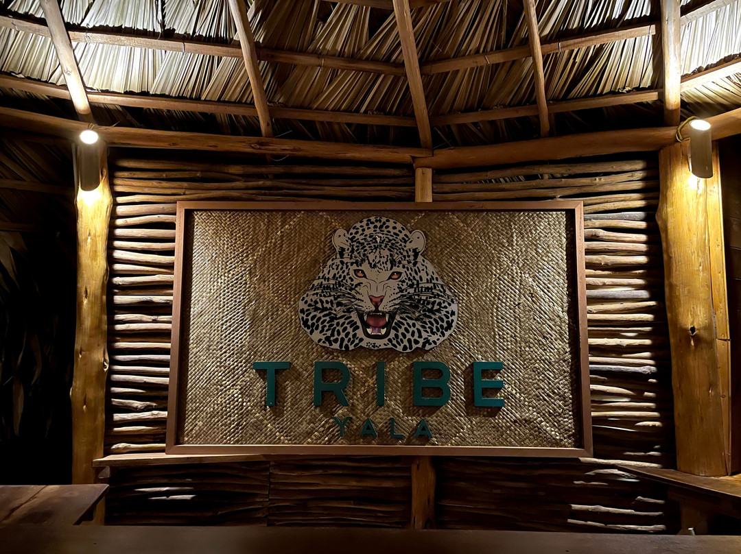 Tribe Yala主图