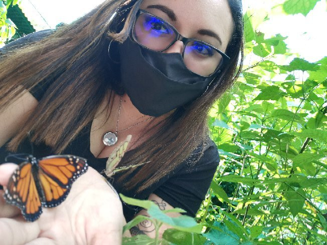 Mariposas Sarchí景点图片