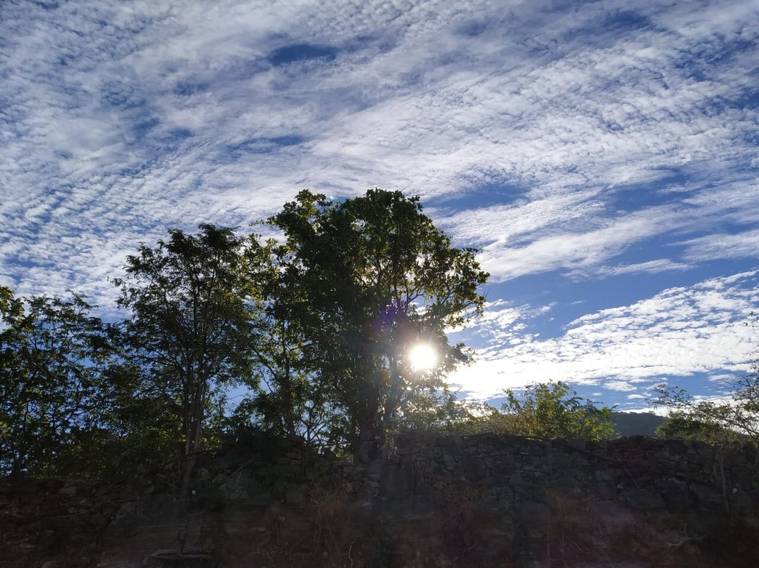 The Junagarh Lodge Kumbhalgarh主图