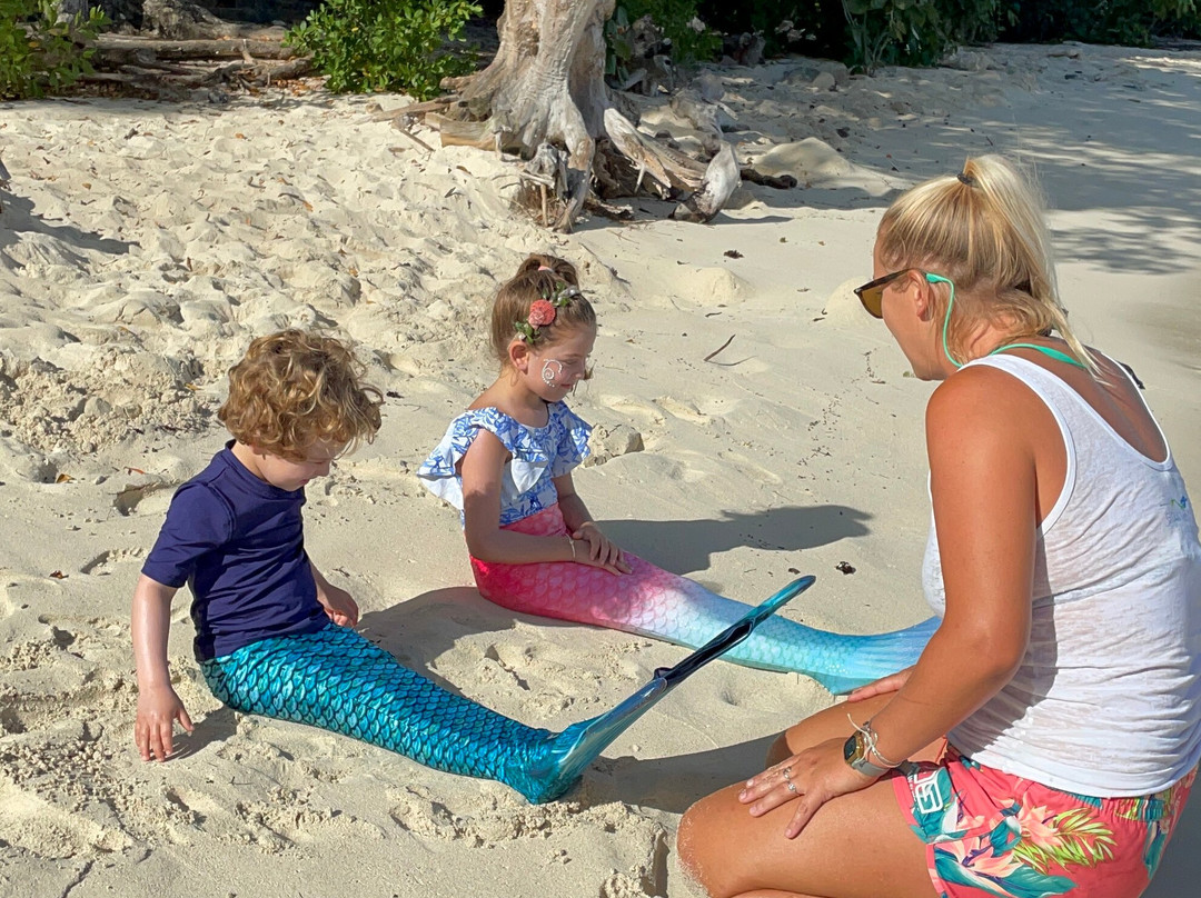 Mermaid Swim VI-克鲁兹湾必去景点