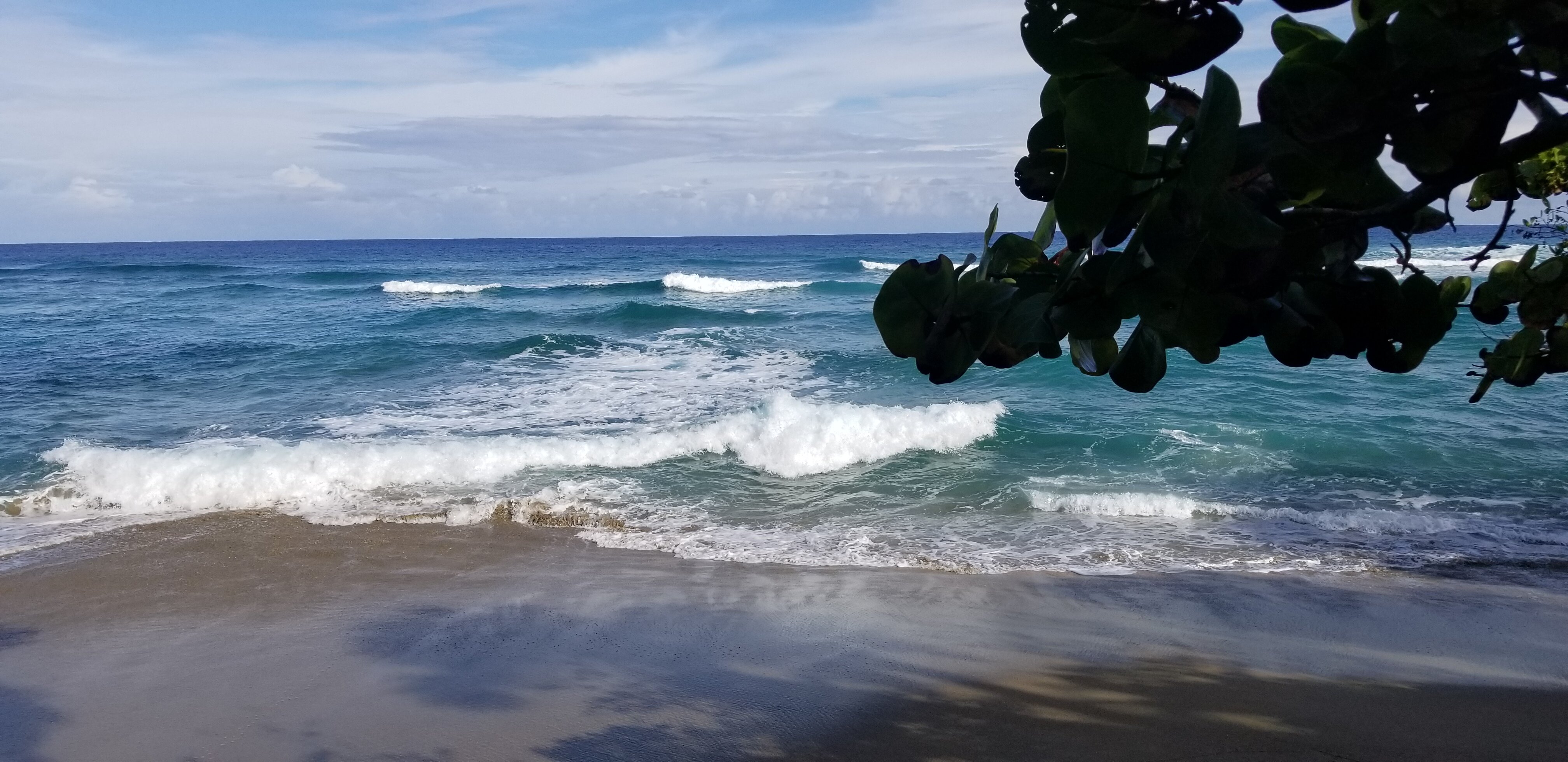 海马牧场酒店-泳池