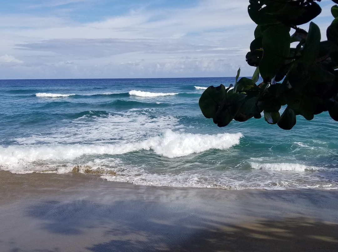 海马牧场酒店主图