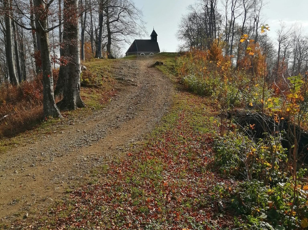Medvednica mountain (Sljeme)景点图片