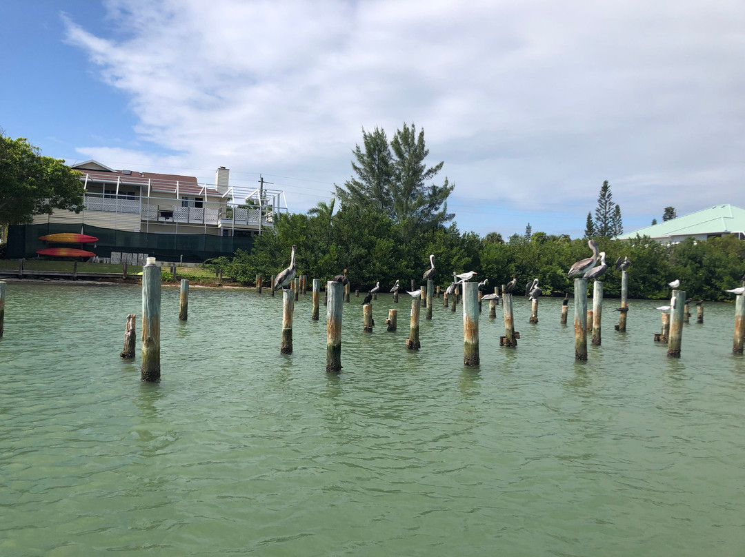 Let's Do Sunset-Cape Haze必去景点