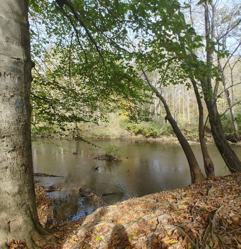 Occoneechee Mountain State Natural Area景点图片