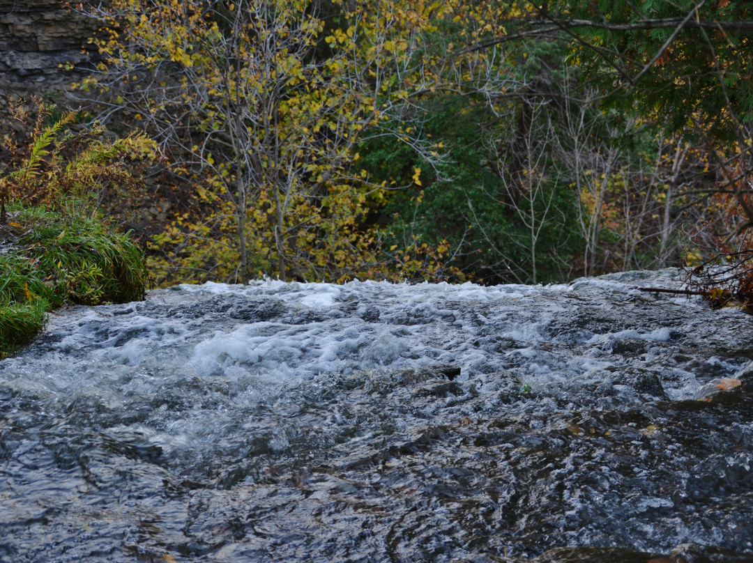 Borer's Falls Conservation Area-邓达斯必去景点