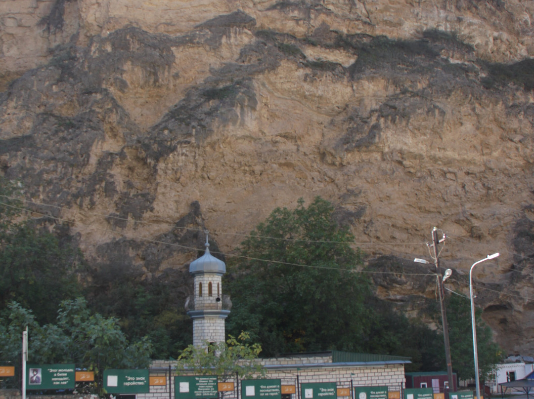 Sangar Mosque景点图片