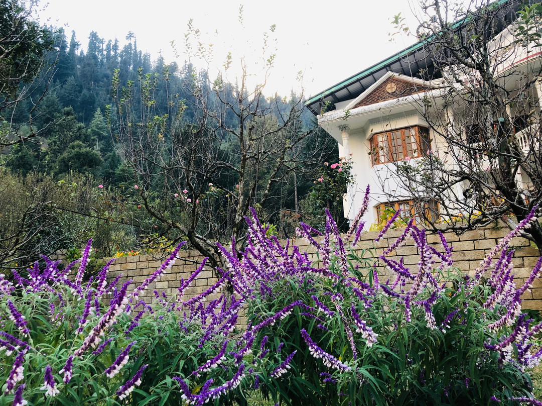 The Lama House主图