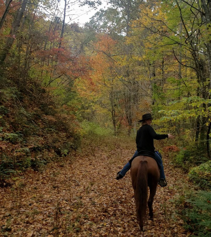 Chunky Gal Stables-Hayesville必去景点