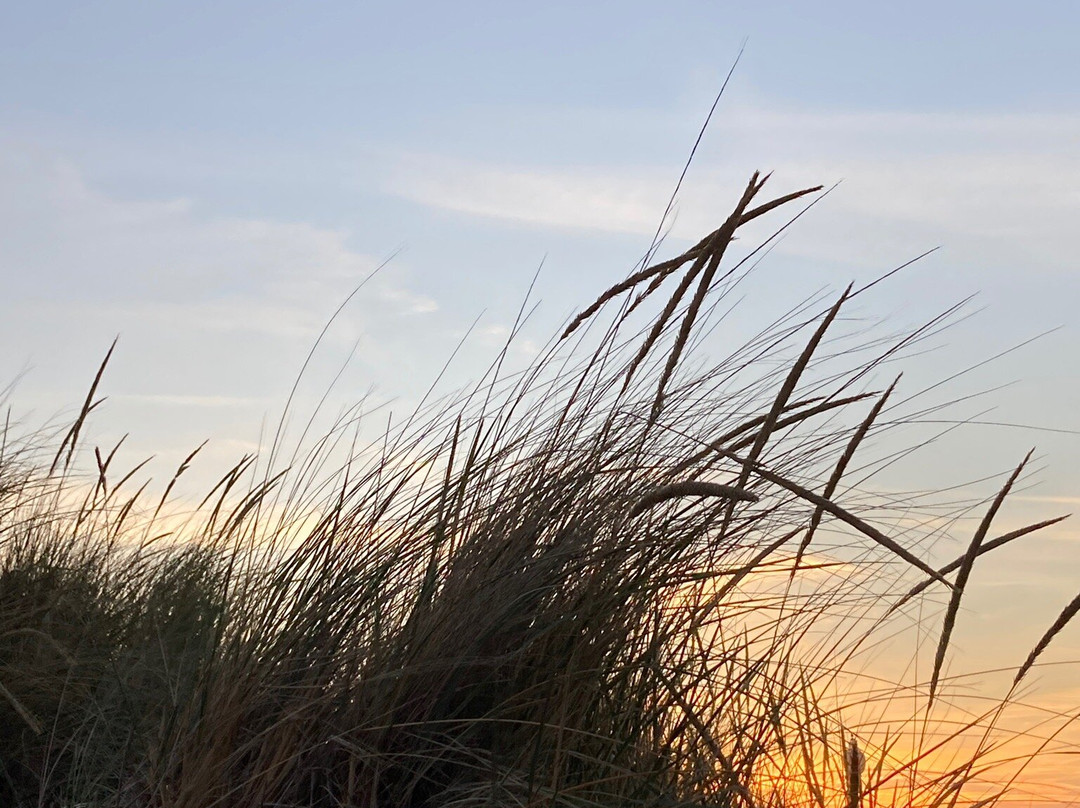華盛頓公園-密歇根城必去景点