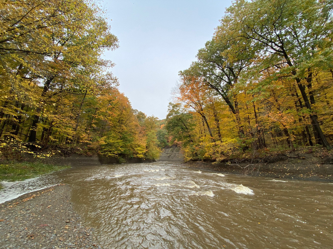 Indian Point Park景点图片