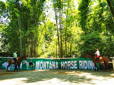 Montana Horse Riding-清迈必去景点