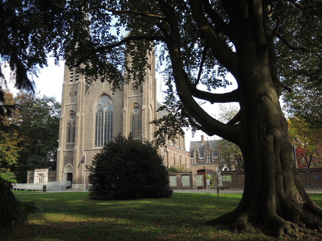 Basiliek Onze Lieve Vrouw Onbevlekte Ontvangenis景点图片