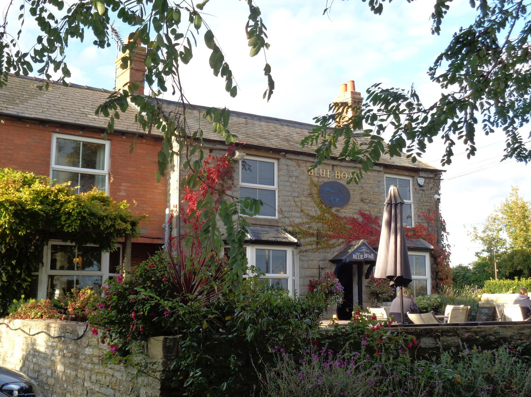 The Blue Boar Inn主图