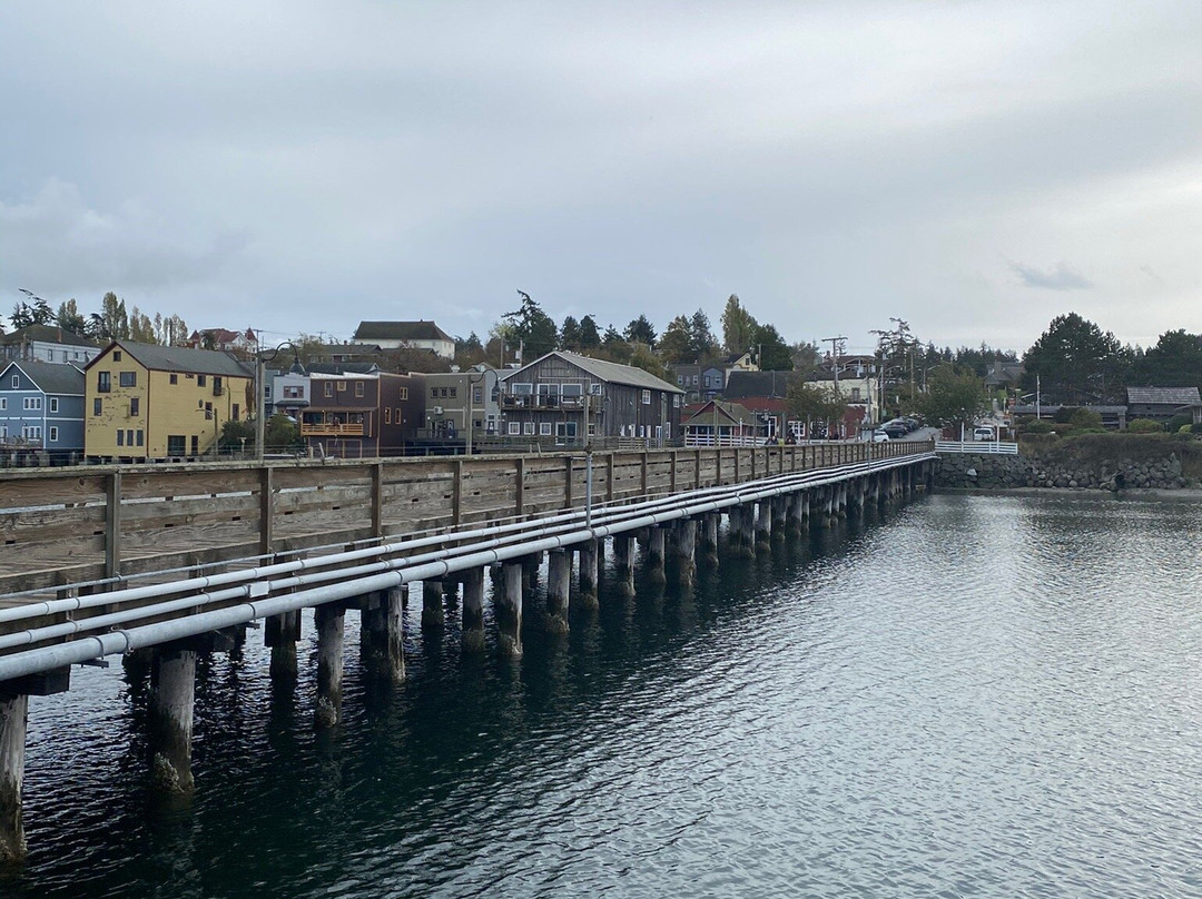 Harbor Gift N' Kayak Rental景点图片