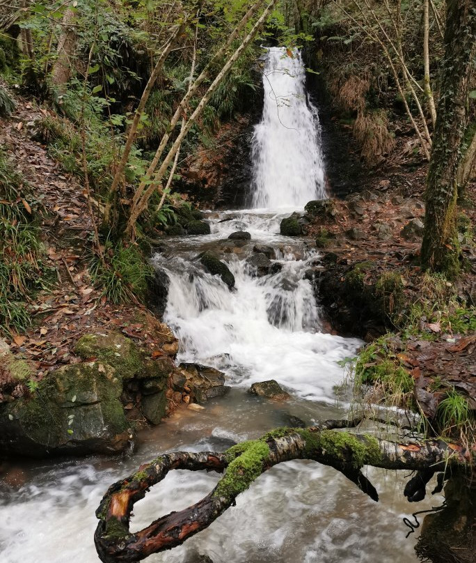 Ruta a la Cascada del Nonaya景点图片