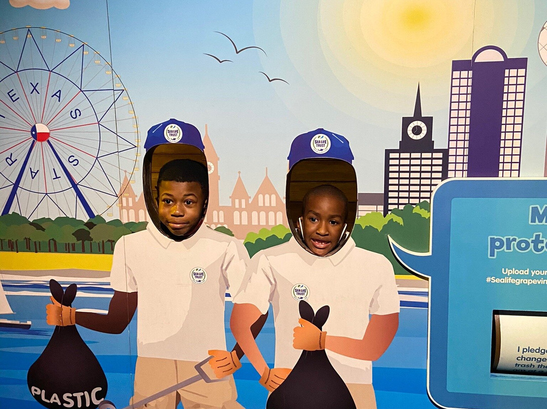 SEA LIFE Grapevine-葡萄藤必去景点