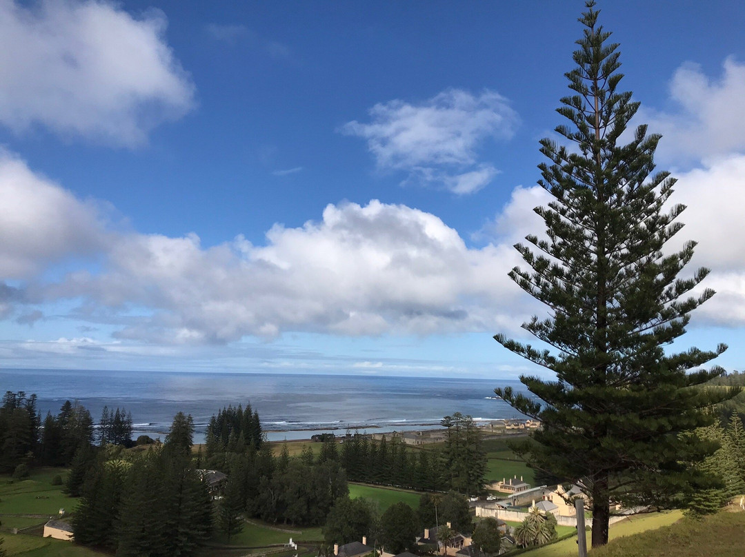 Pinetree Tours-诺福克岛必去景点