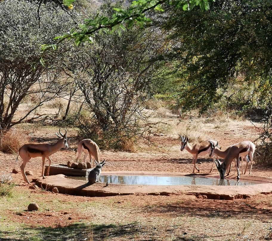 Mokala National Park-金伯利必去景点