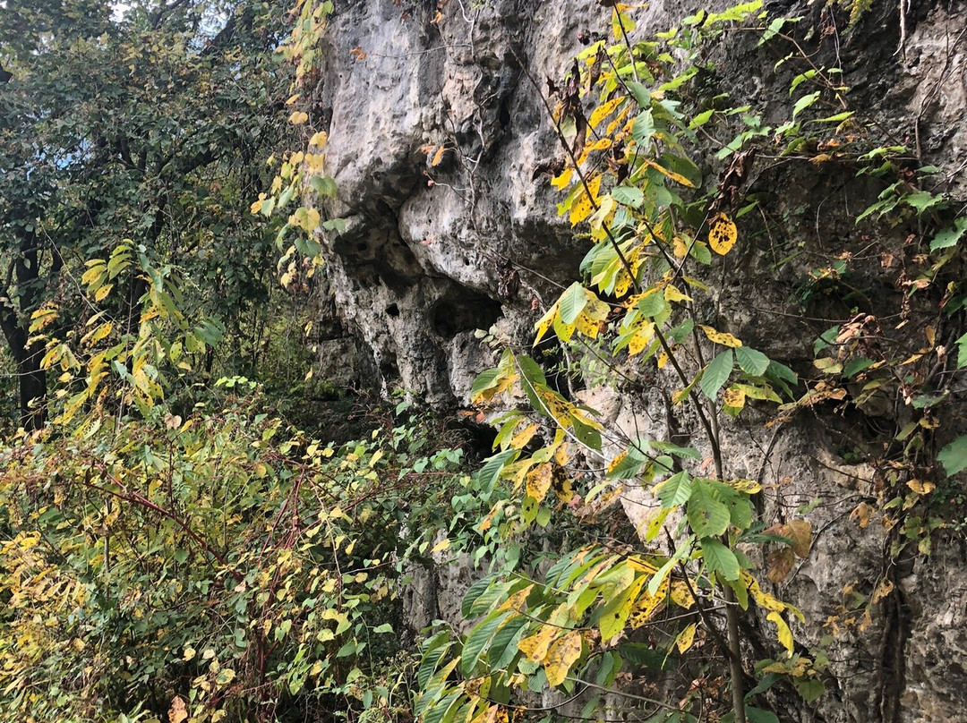 Onondaga Cave State Park景点图片