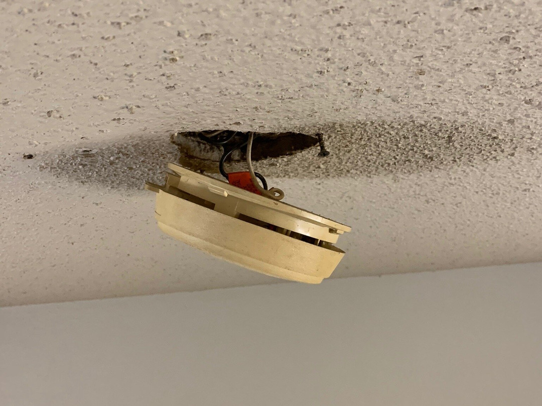 Super 8 by Wyndham Brookville主图