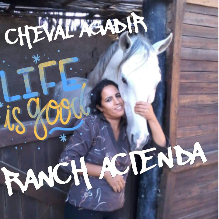 Cheval Agadir Ranch Acienda景点图片