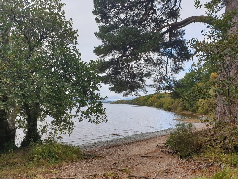 The Waterhouse Inn主图