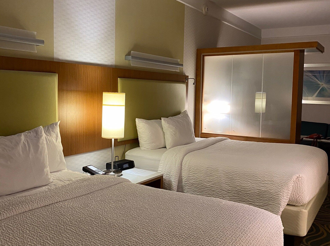 SpringHill Suites Canton主图