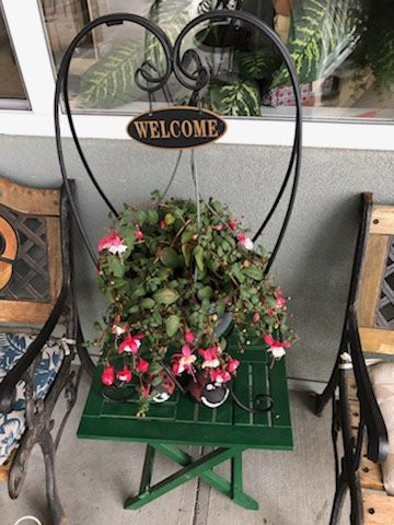 Shoreside Inn & Suites主图