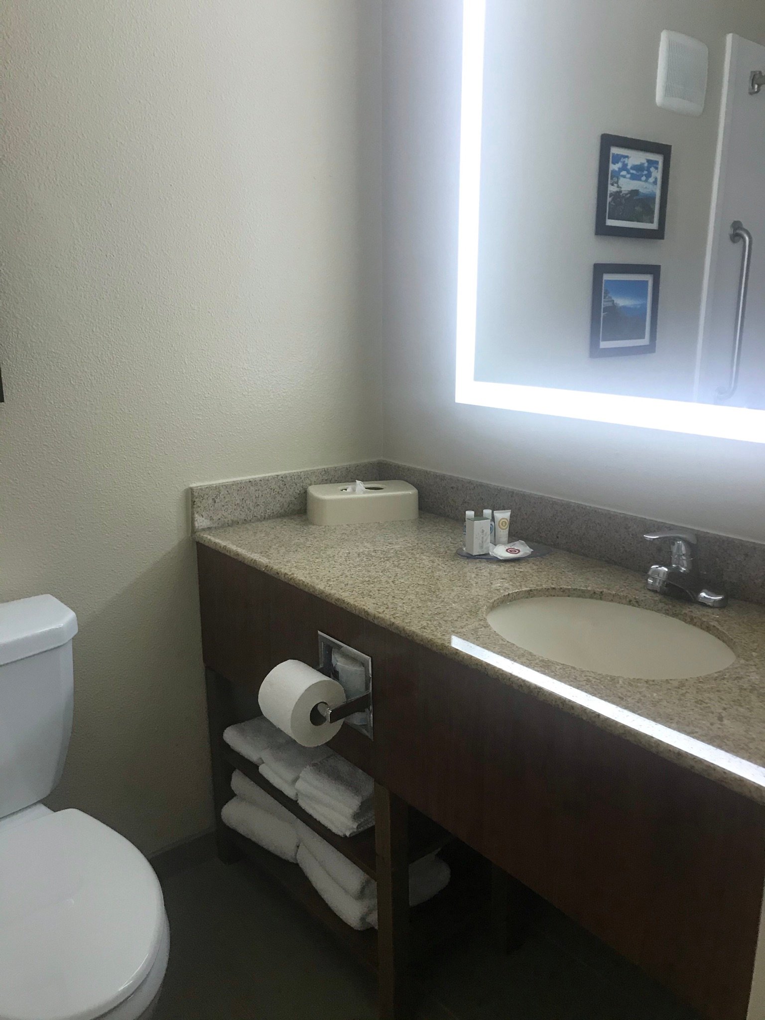 Spark by Hilton Roanoke Civic Center-浴室