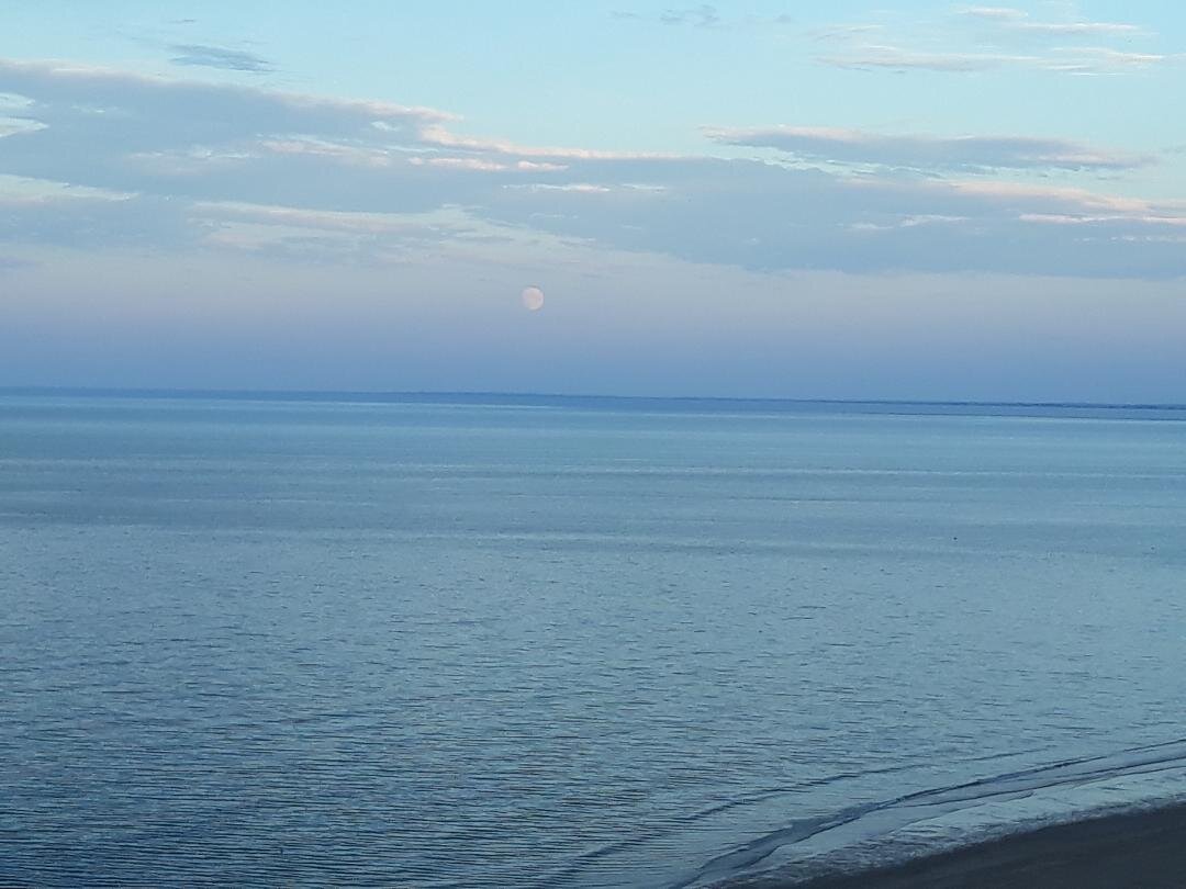 Sand Dollar B&B-泳池