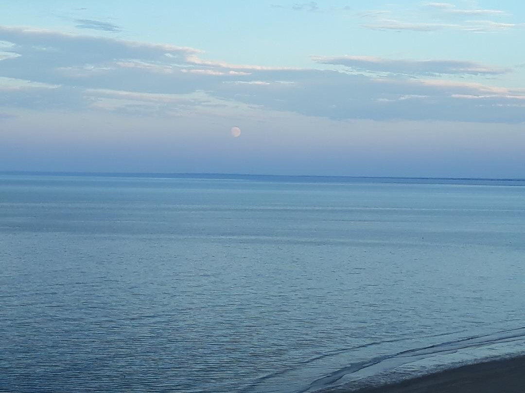 Sand Dollar B&B主图