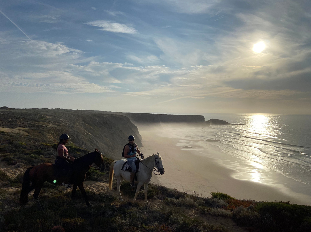 Horse Adventure Tours景点图片