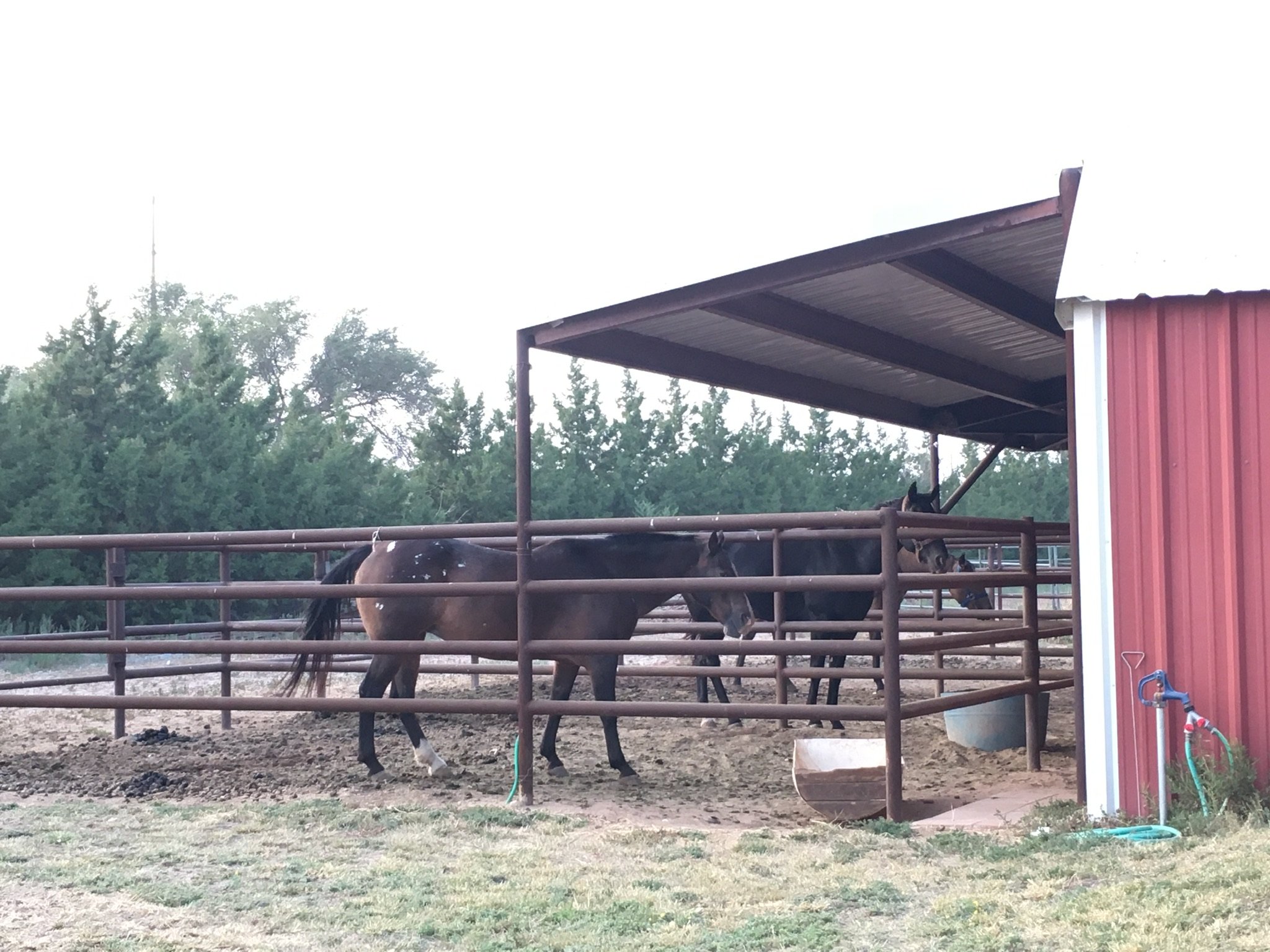 Almost Home Bed And Breakfast-官方