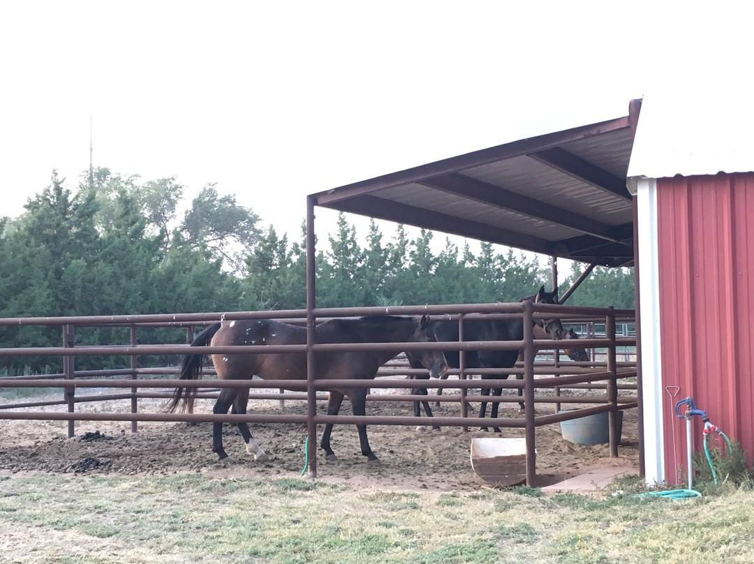 Causey酒店住宿-Almost Home Bed And Breakfast