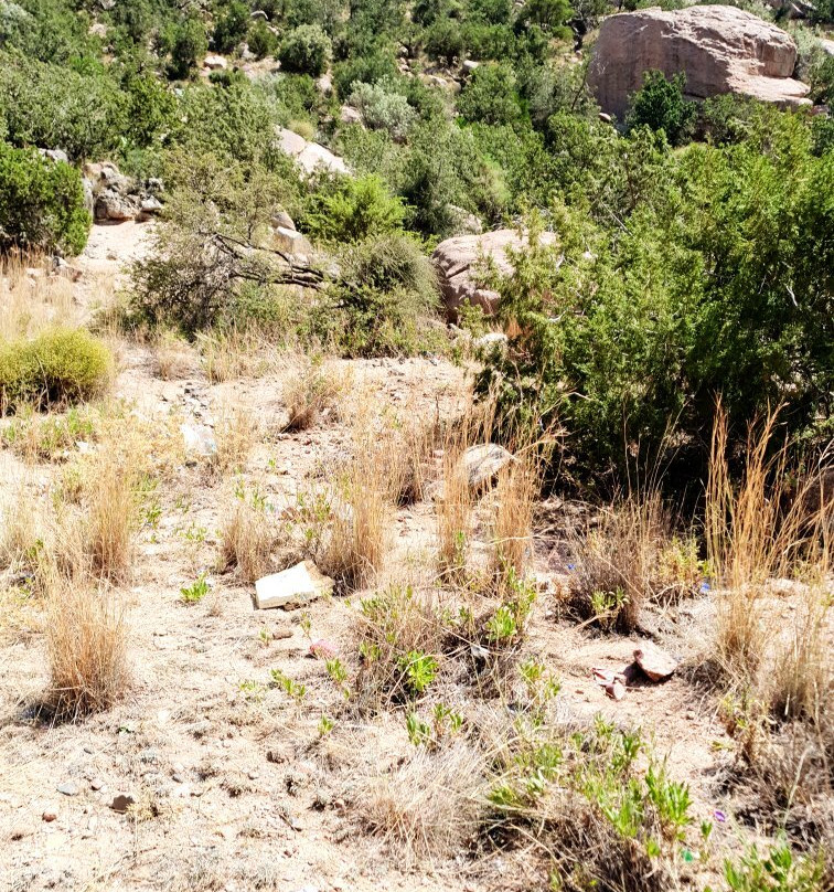 Shafa Mountains-Taif必去景点