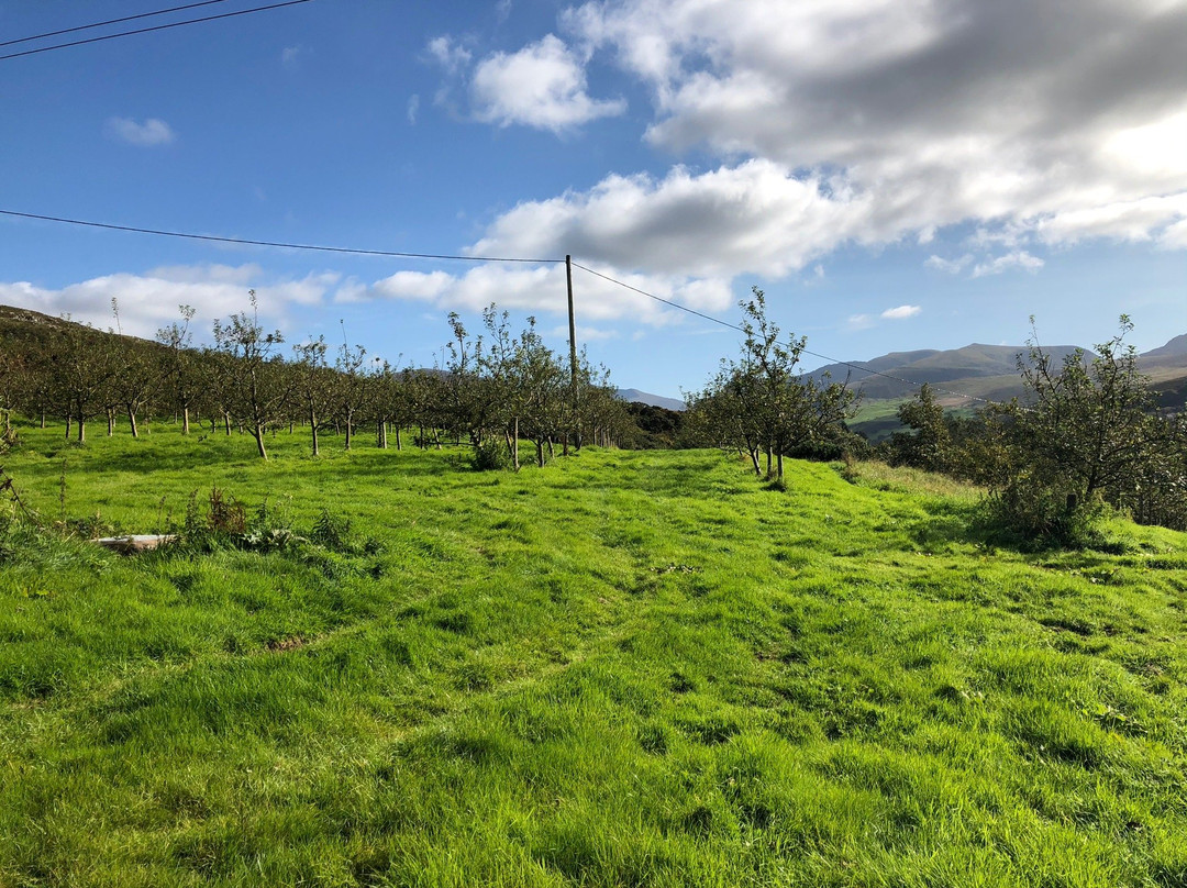 Pant Du Vineyard & Orchard景点图片