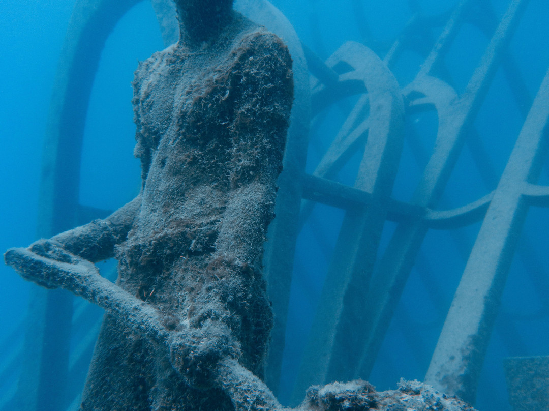 Adrenalin Snorkel and Dive-汤斯维尔必去景点