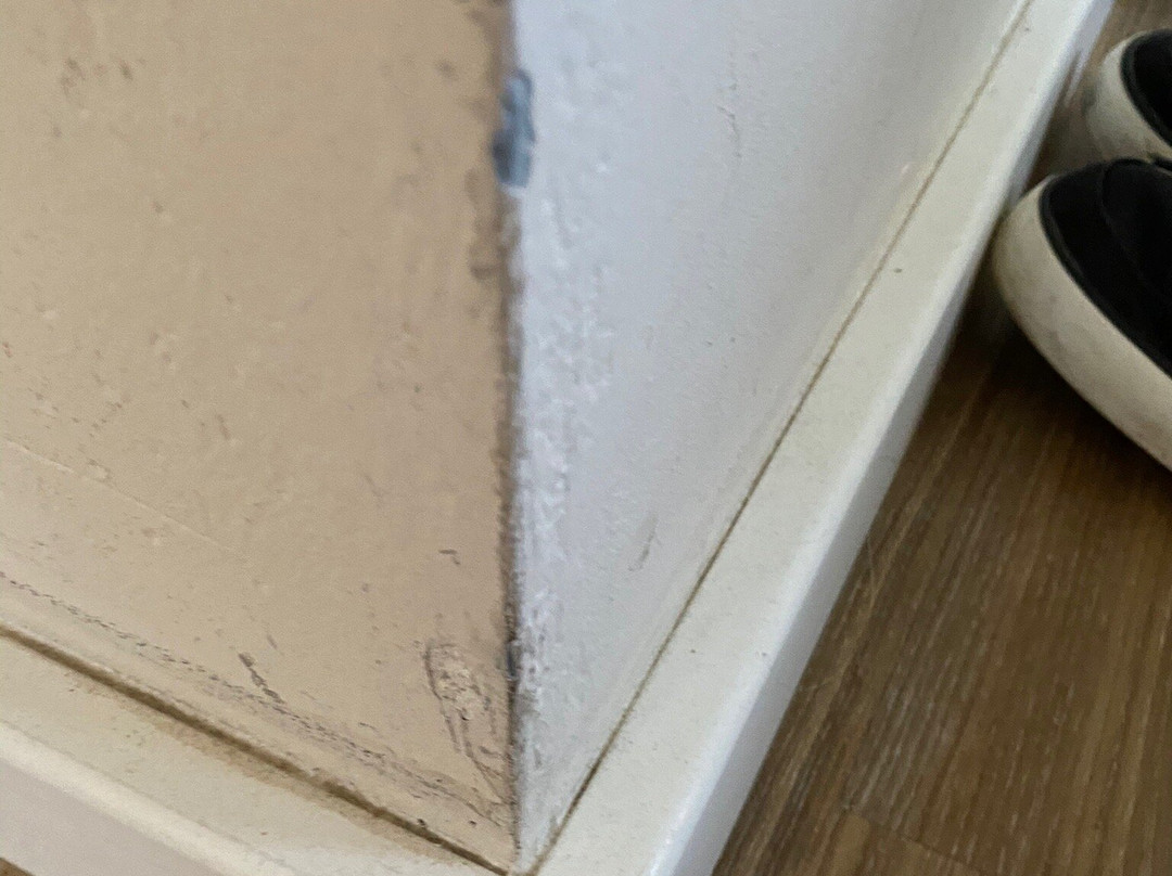 Strandhaus Ahrenshoop主图