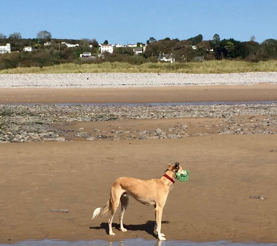 Newton Bay Beach-Porthcawl必去景点