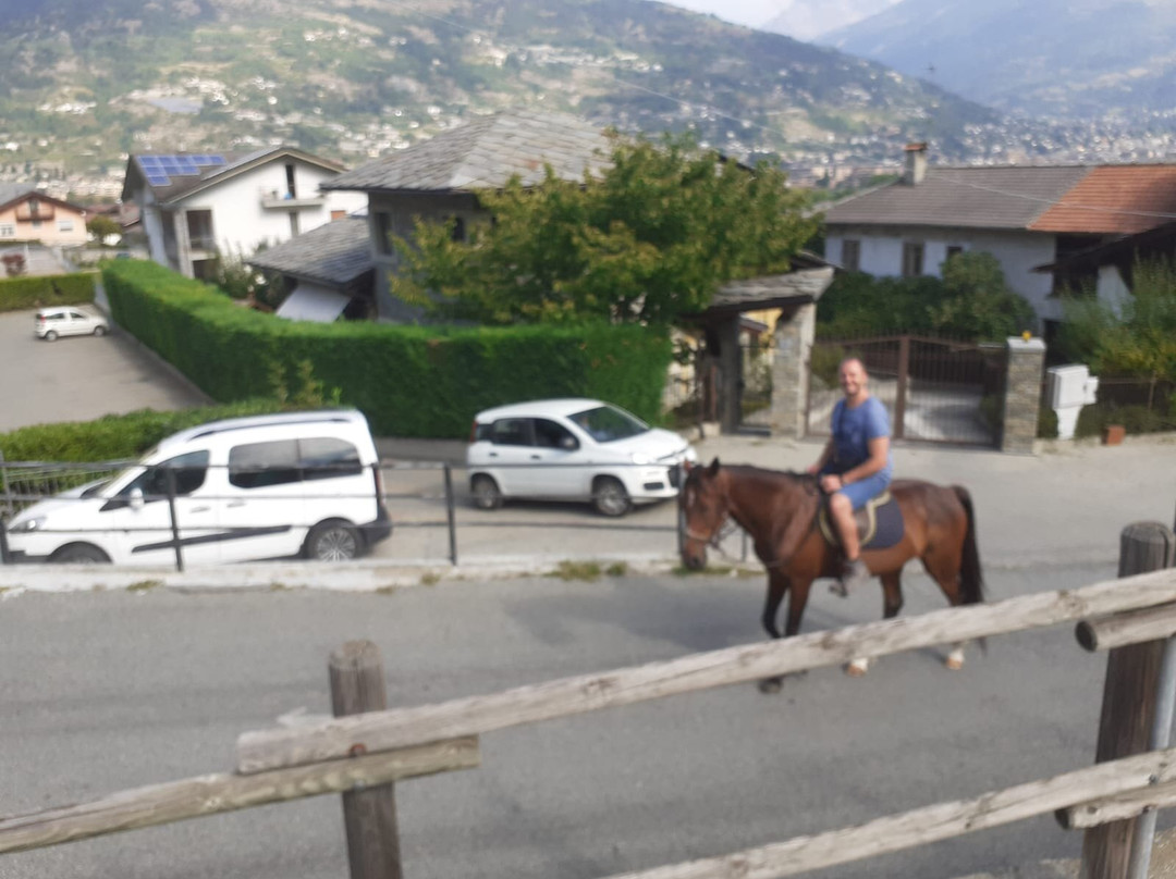 Horse's Heaven Vda-Gressan必去景点