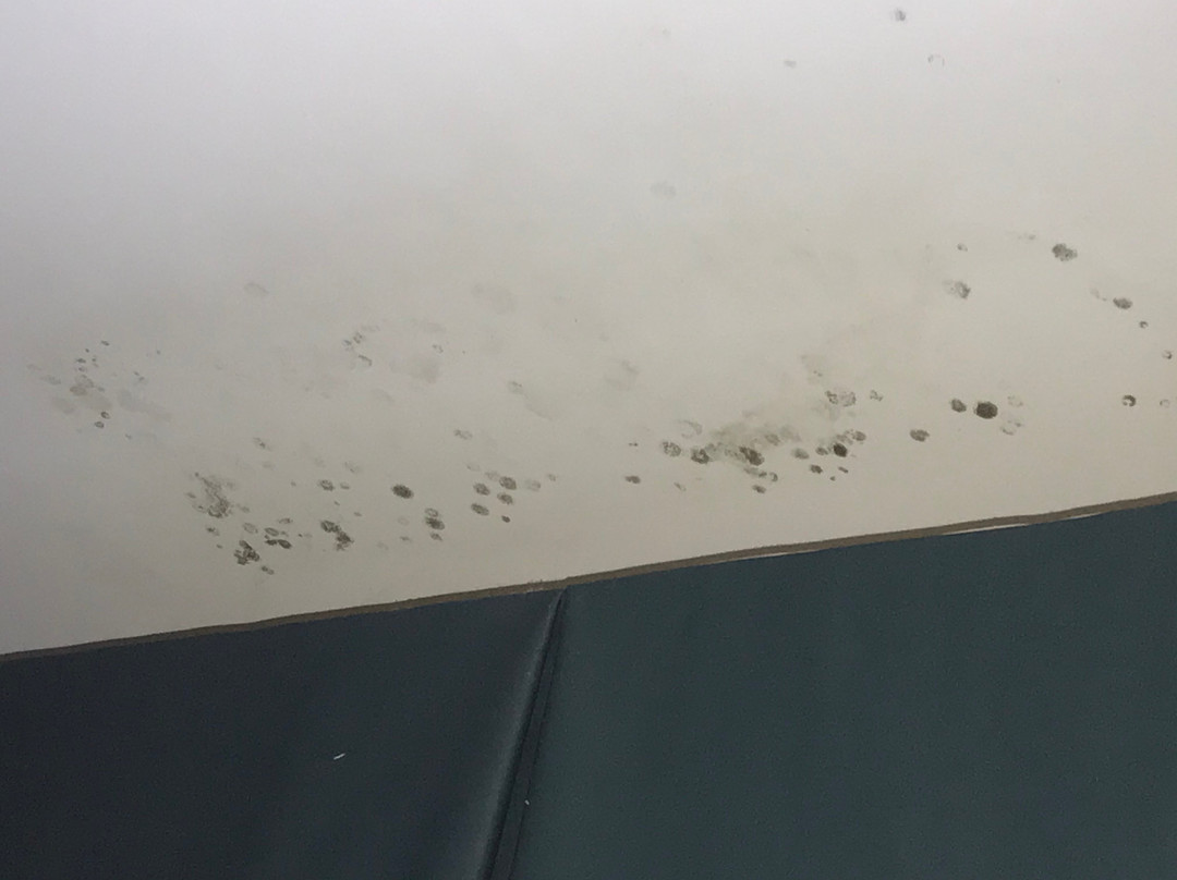 Holiday Inn Express & Suites Havelock Nw-new Bern By IHG主图