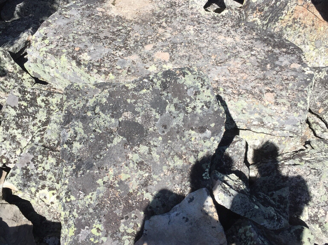 Shipyard & Titanic Trail Hike-Tumbler Ridge必去景点