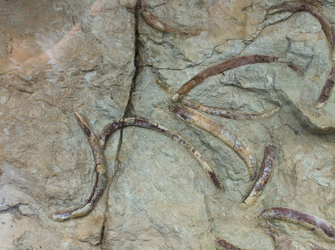 vallée des sirènes景点图片