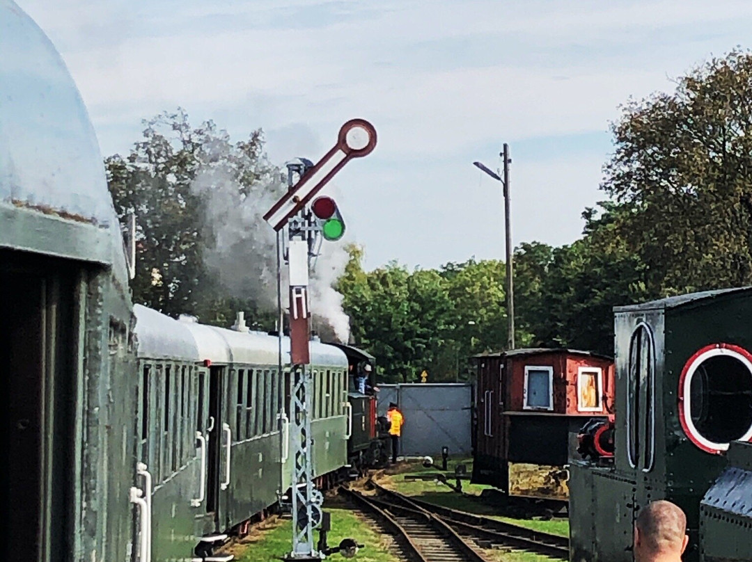 Narrow Gauge Railway Museum in Sochaczew景点图片