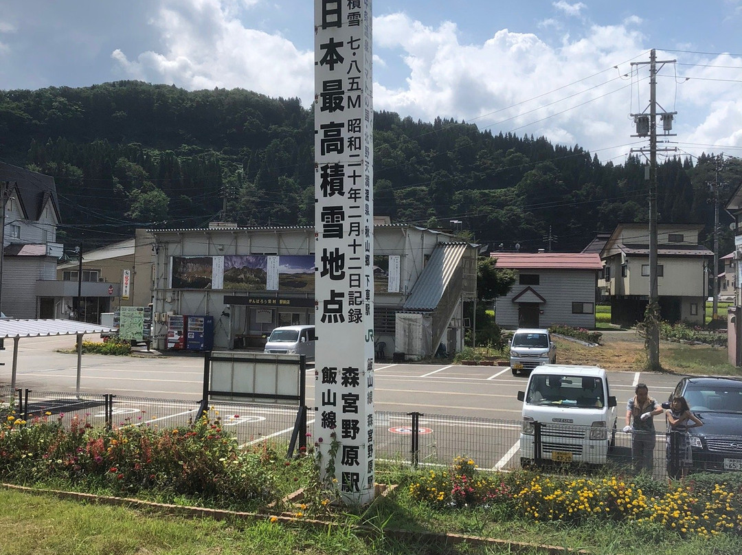 JR Iiyama Line-饭山市必去景点